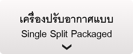 ไปที่หน้าเครื่องปรับอากาศแบบ Single Split Packaged