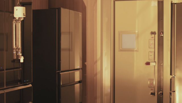 Pruebas de Cambios Medioambientales