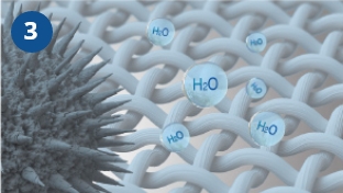 Pollen is inhibited.*