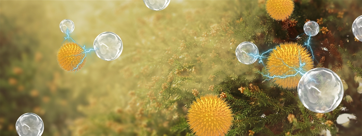 A image of Allergens