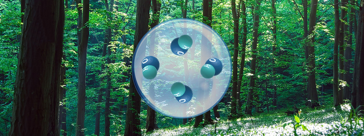 An image showing that hydroxyl radicals are also present in the human body