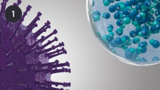 nanoe™ X reliably reaches pollutant.