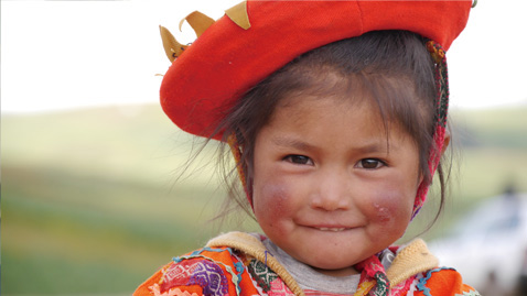 Perfect Travel Partne