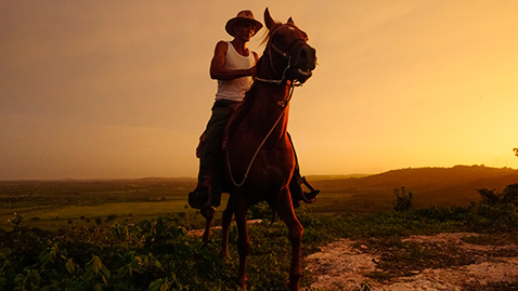 Changing Perspective with the Tiltable LV