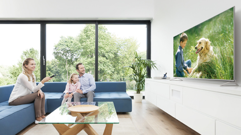 ¿Desea disfrutar de contenidos descargados de la web?