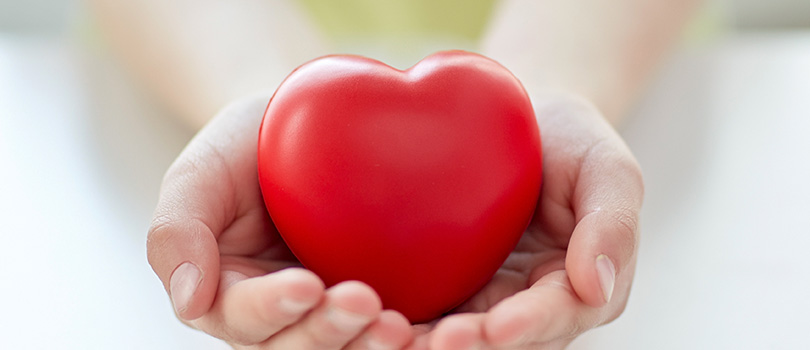 Corporate Donation Program Guidelines