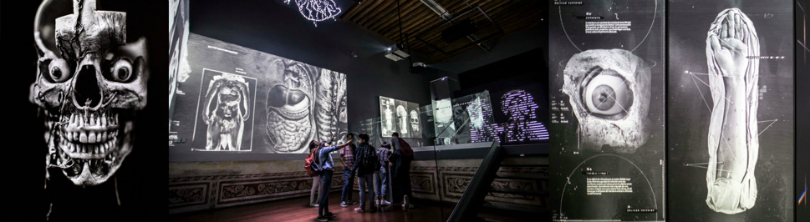 Proyectores Panasonic en Museo de Medicina