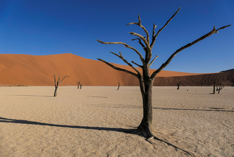 Potente e versátil: A Panasonic apresenta a nova câmara Bridge LUMIX FZ1000 II