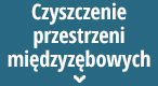 Czyszczenie przestrzeni międzyzębowych