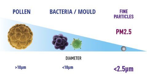 Size comparison between pollen, bacteria/mould and PM2.5