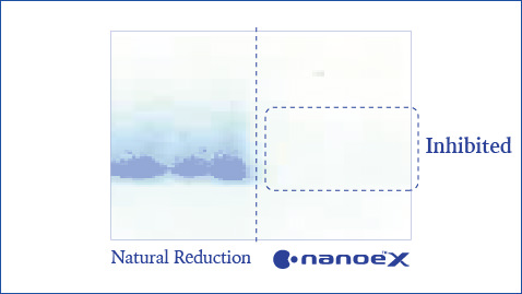 An illustration showing that nanoe™ X highly effective against the mite allergen Dermatophagoides farinae