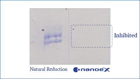An illustration showing that nanoe™ X is highly effective against the pollen of trees like cedar and shrubs