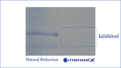 An illustration showing that nanoe™ X is highly effective against grass pollens like ragweed