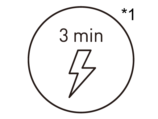 3 minute brzo punjenje