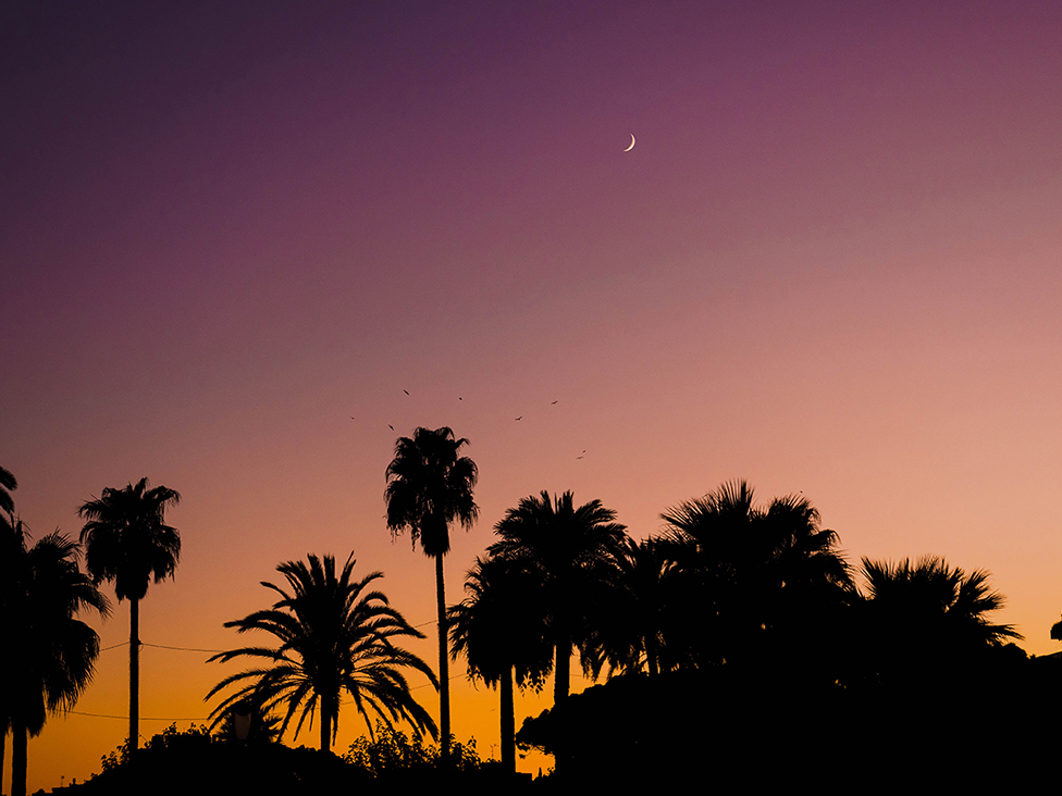 Building a Brand with Lumix