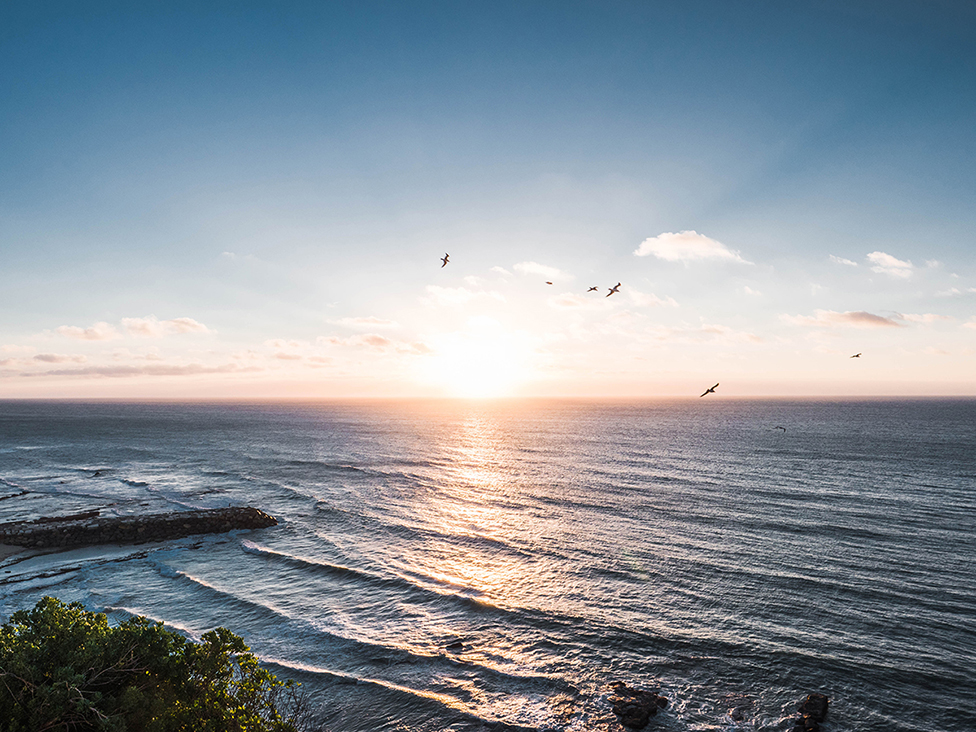 Building a Brand with Lumix