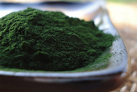 Spirulina