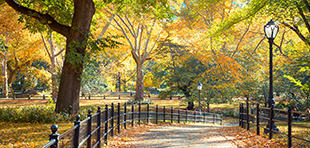 A fall guide for the modern man