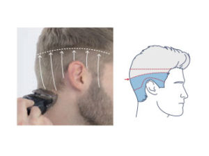 3. Cut to 6 mm under Line B (Sides/Back)