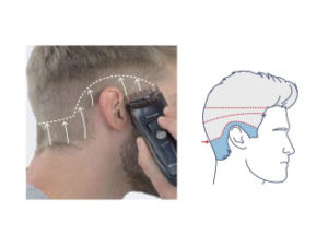 4. Cut to 3 mm under Line C (Nape/Around Ears)