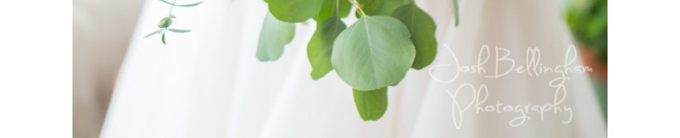 A Quick Review of the Panasonic Leica DG Nocticron 42.5mm f/1.2 ASPH. Power O.I.S. Lens