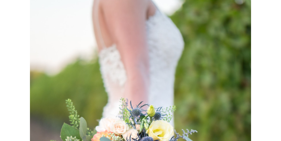 A Quick Review of the Panasonic Leica DG Nocticron 42.5mm f/1.2 ASPH. Power O.I.S. Lens