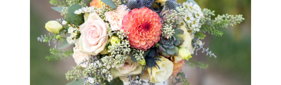 A Quick Review of the Panasonic Leica DG Nocticron 42.5mm f/1.2 ASPH. Power O.I.S. Lens