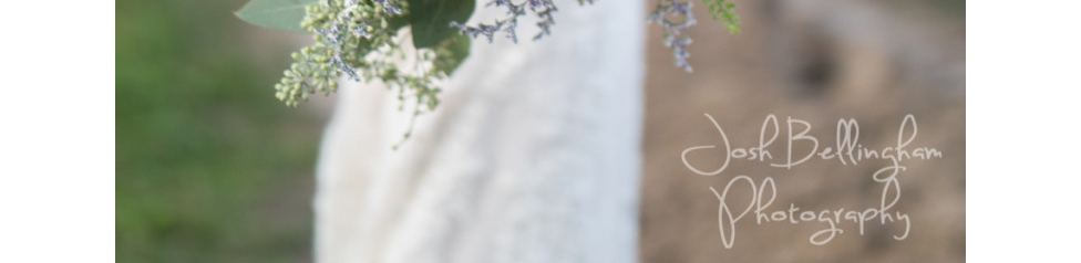 A Quick Review of the Panasonic Leica DG Nocticron 42.5mm f/1.2 ASPH. Power O.I.S. Lens