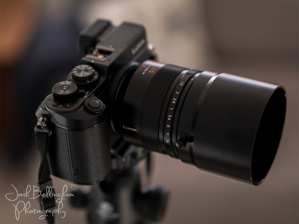 A Quick Review of the Panasonic Leica DG Nocticron 42.5mm f/1.2 ASPH. Power O.I.S. Lens