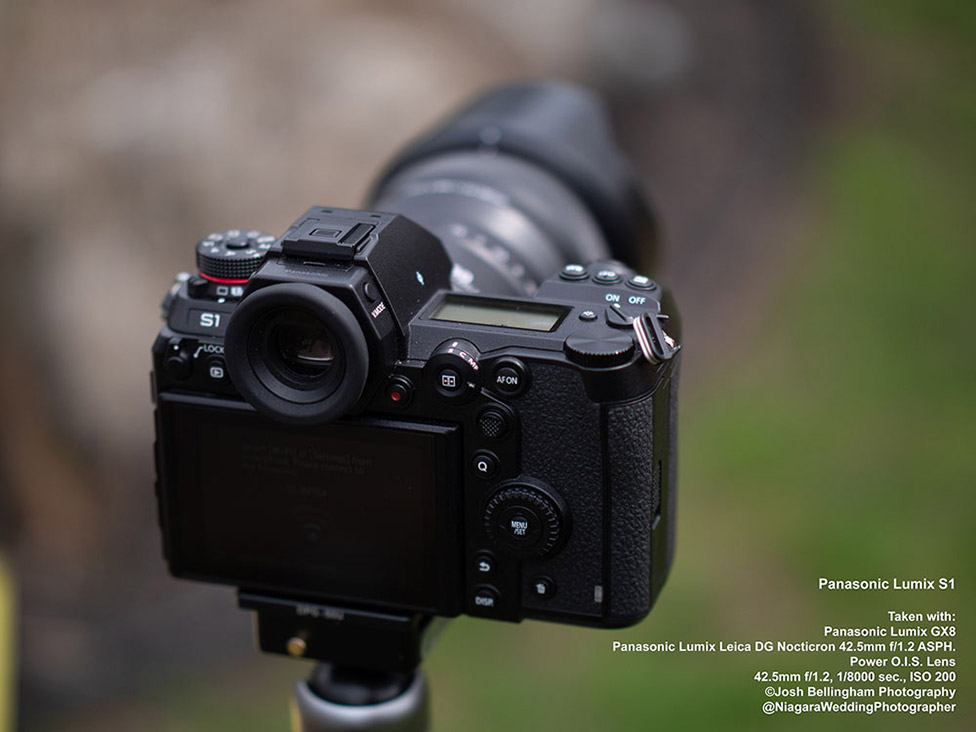 Panasonic Lumix S1 First Impressions Review