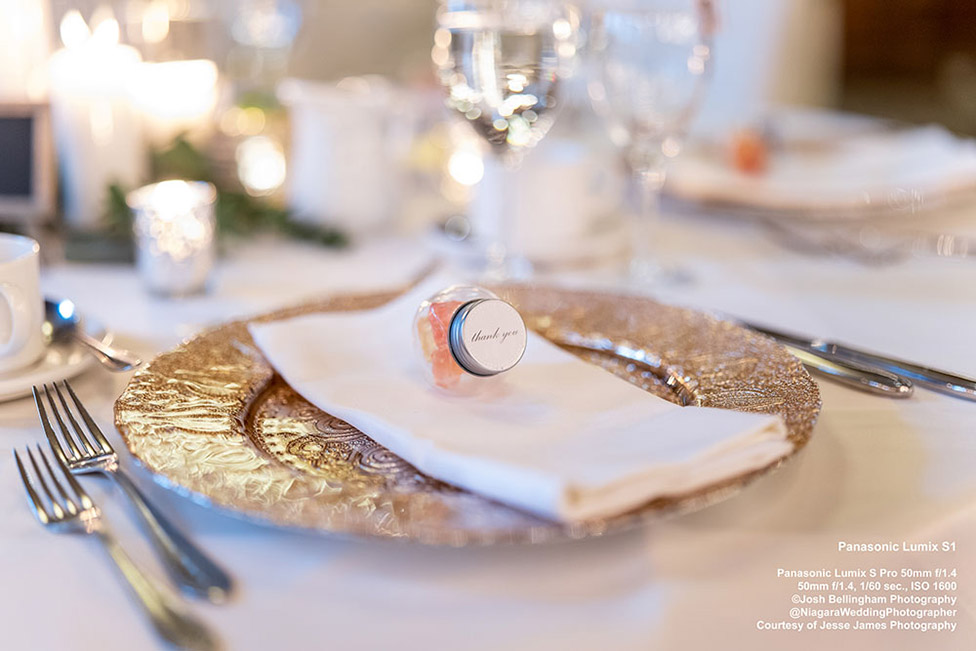 Panasonic Lumix S1 First Impressions Review