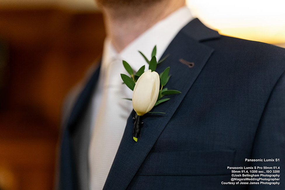 Panasonic Lumix S1 First Impressions Review