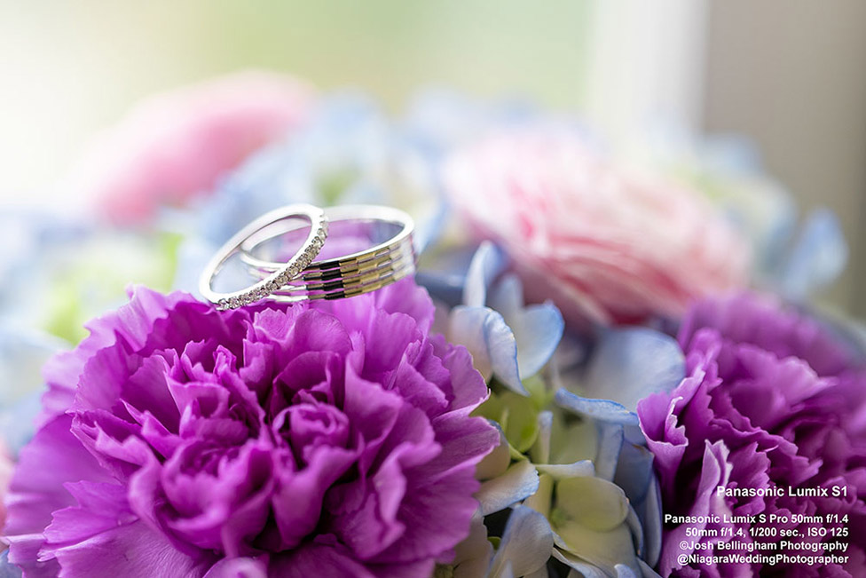 Panasonic Lumix S1 First Impressions Review