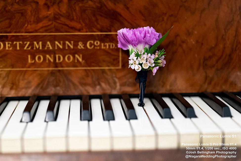 Panasonic Lumix S1 First Impressions Review