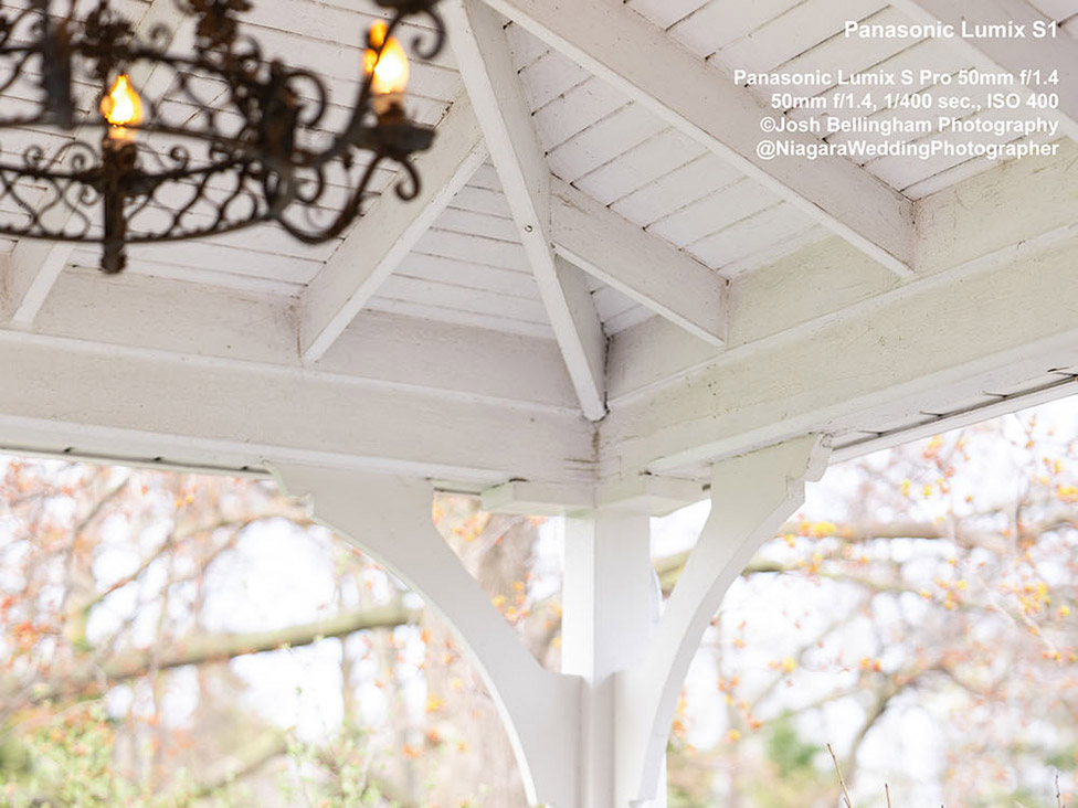 Panasonic Lumix S1 First Impressions Review