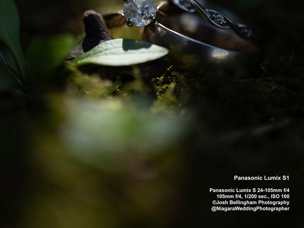 Panasonic Lumix S1 First Impressions Review