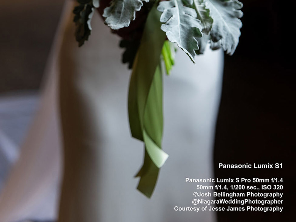 Panasonic Lumix S1 First Impressions Review