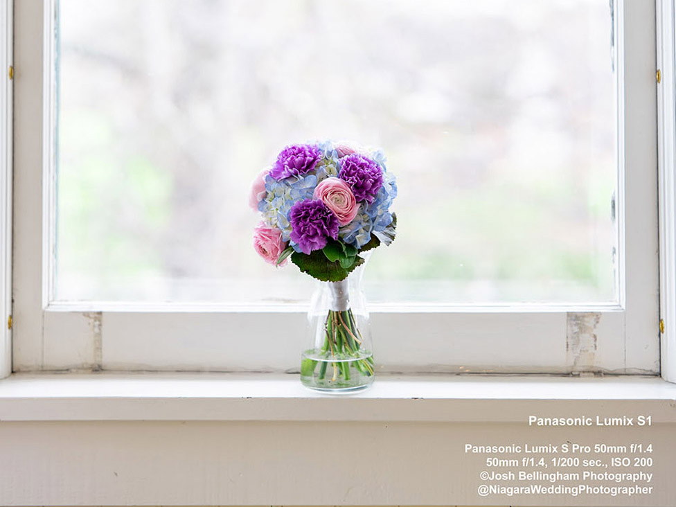 Panasonic Lumix S1 First Impressions Review