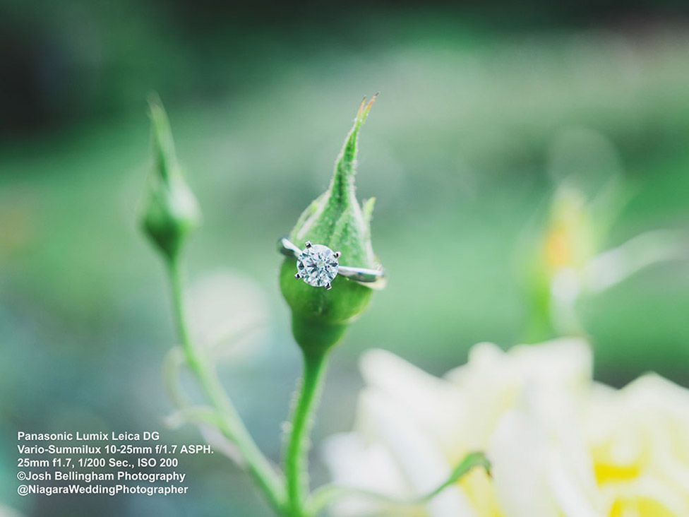 The Panasonic Lumix Leica DG Vario-Summilux 10-25mm f/1.7 ASPH – professional lens of choice