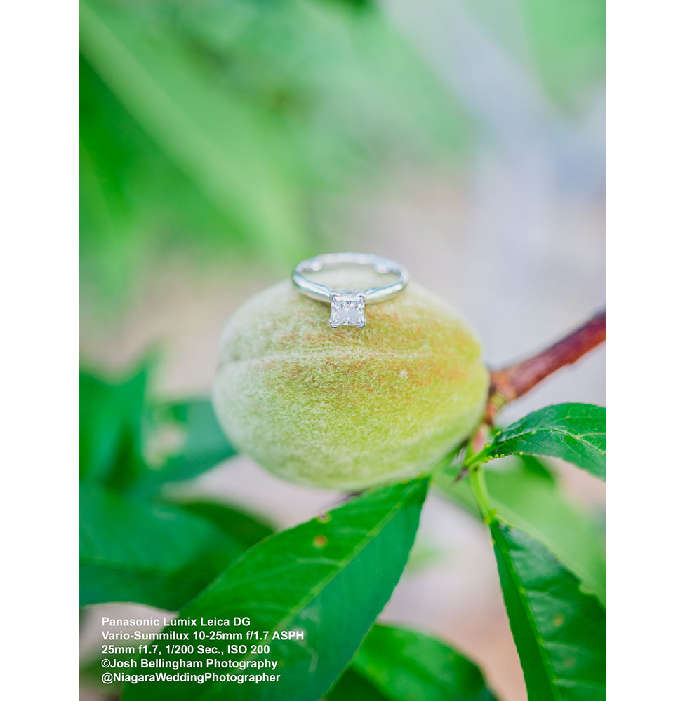 The Panasonic Lumix Leica DG Vario-Summilux 10-25mm f/1.7 ASPH – professional lens of choice