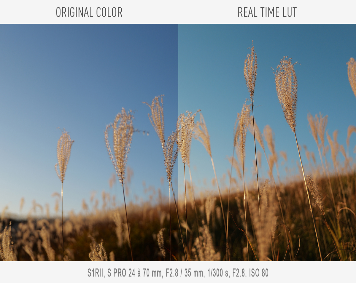 Vos expressions de couleurs uniques, directement de l’appareil photo