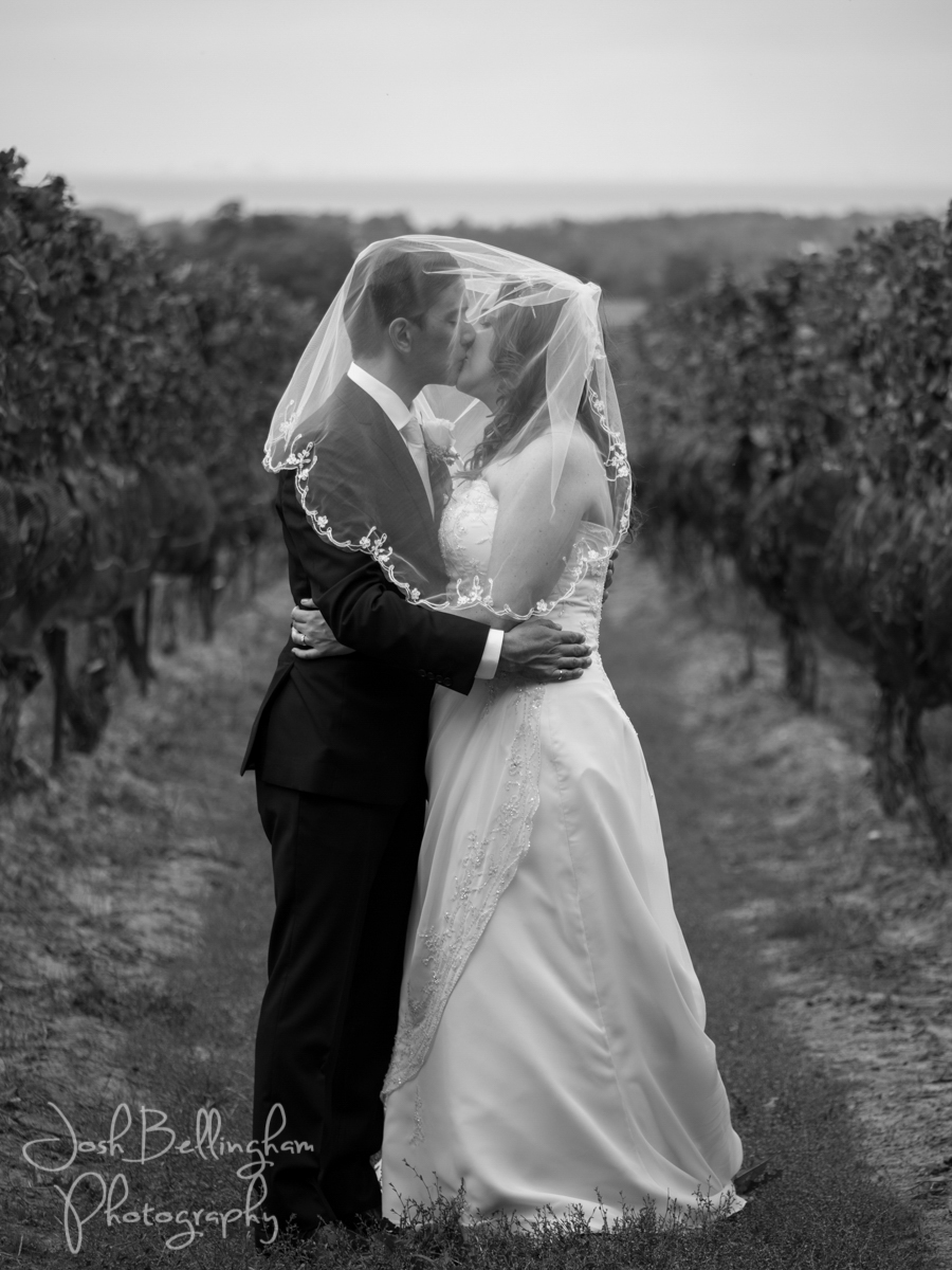 Photo by Josh Bellingham