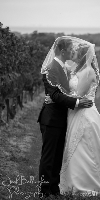 Photo by Josh Bellingham