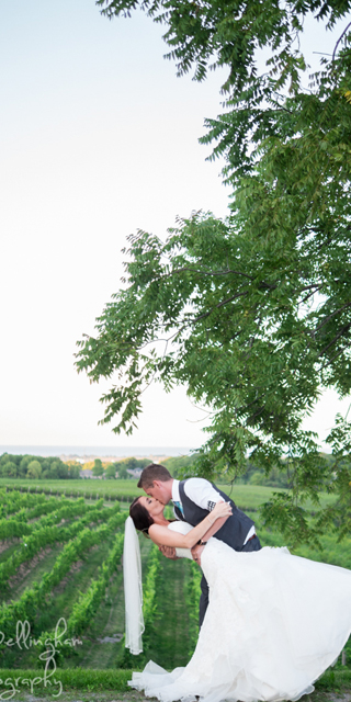 Photo by Josh Bellingham