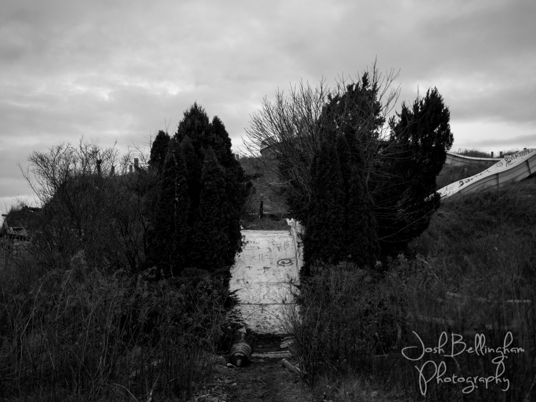 Photo by Josh Bellingham