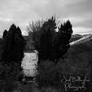 Photo by Josh Bellingham