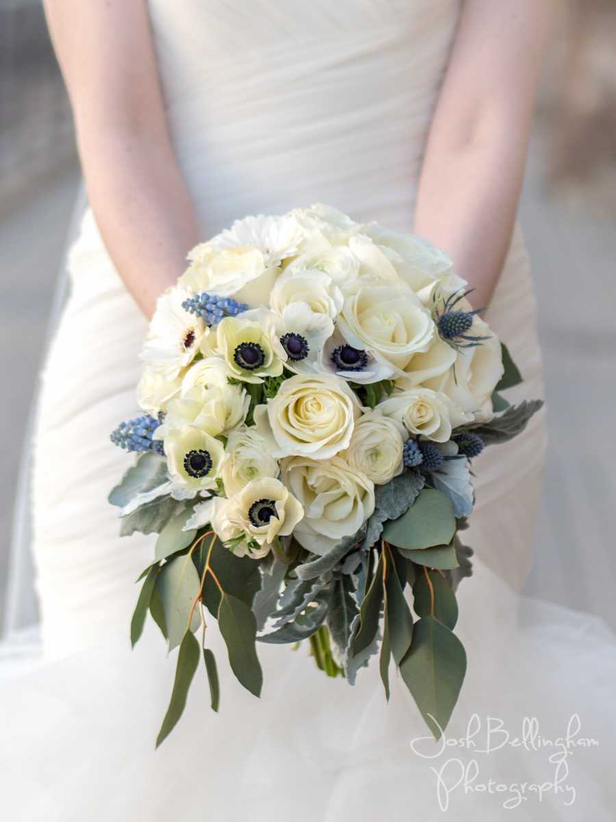 Photo by Josh Bellingham