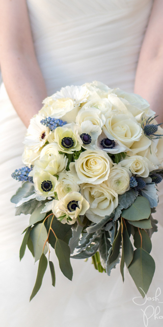 Photo by Josh Bellingham