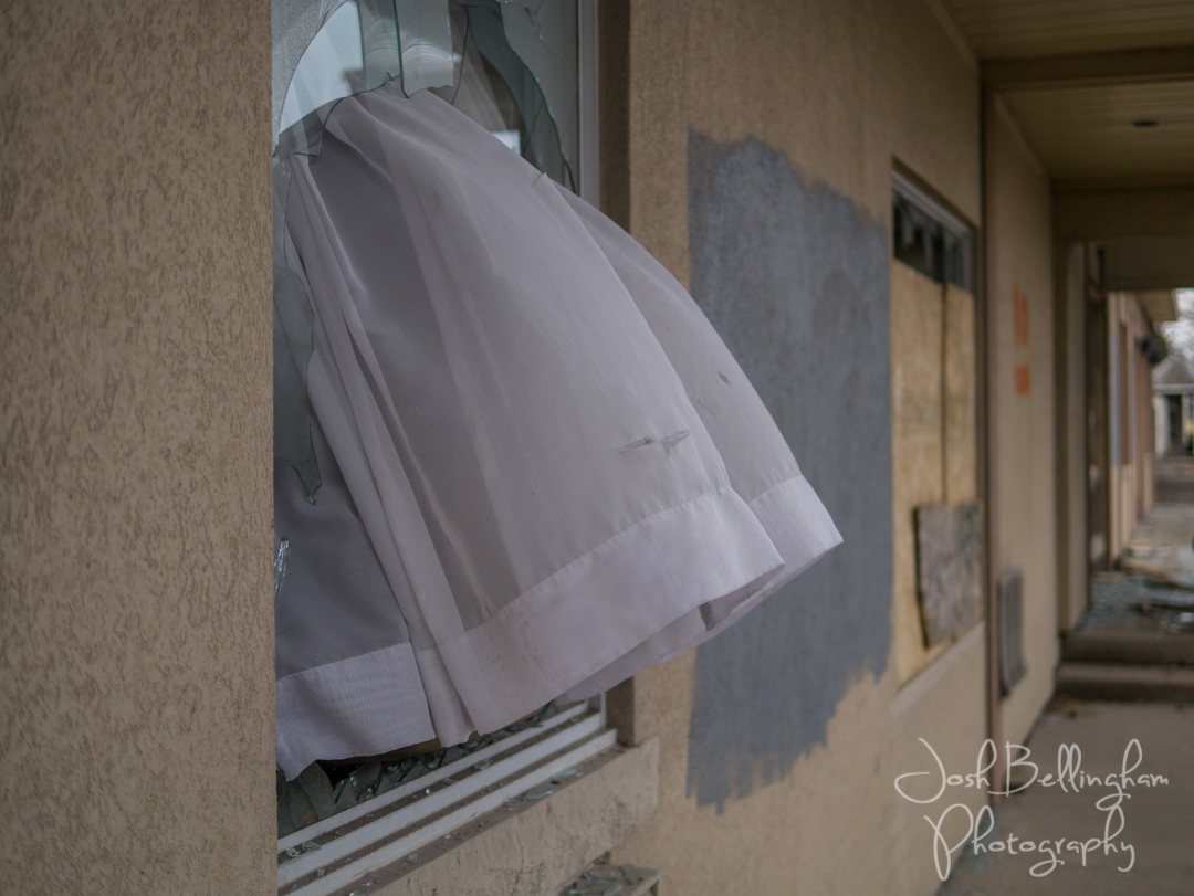 Photo by Josh Bellingham