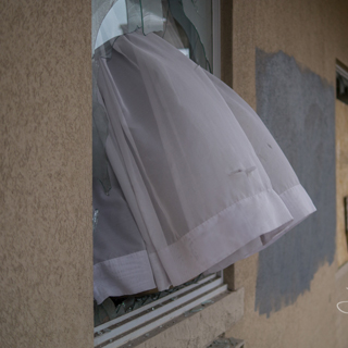 Photo by Josh Bellingham